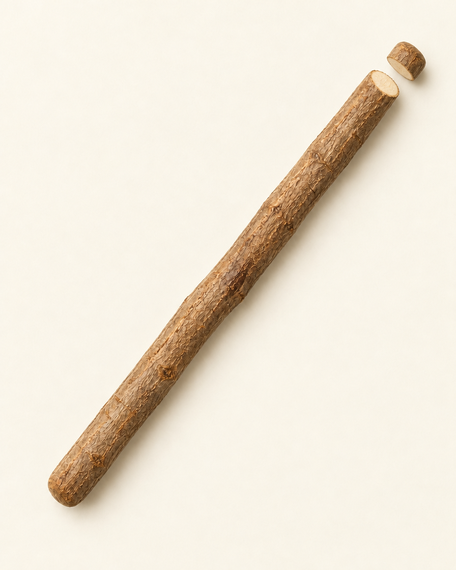 Miswak stick with one end freshly cut flat, the small cut piece beside it