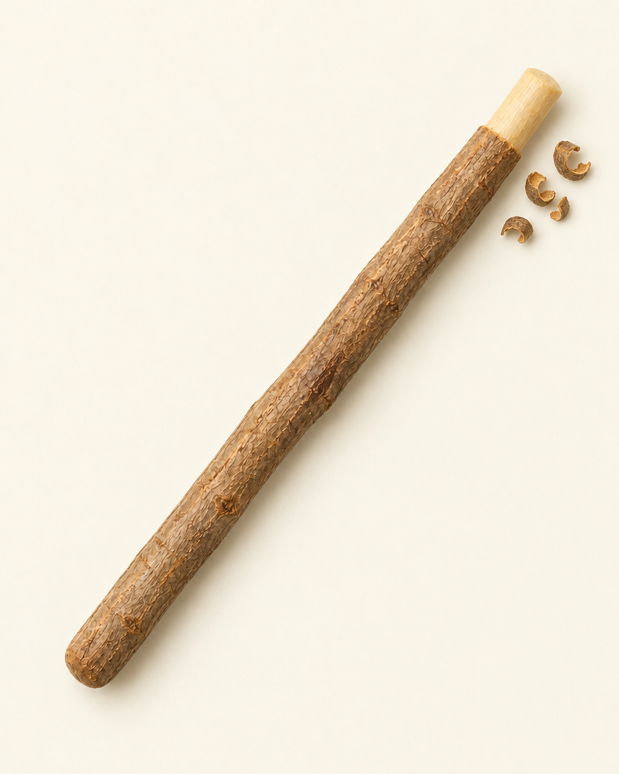 Miswak stick with about 1 cm of bark peeled from the tip, bark shavings beside it